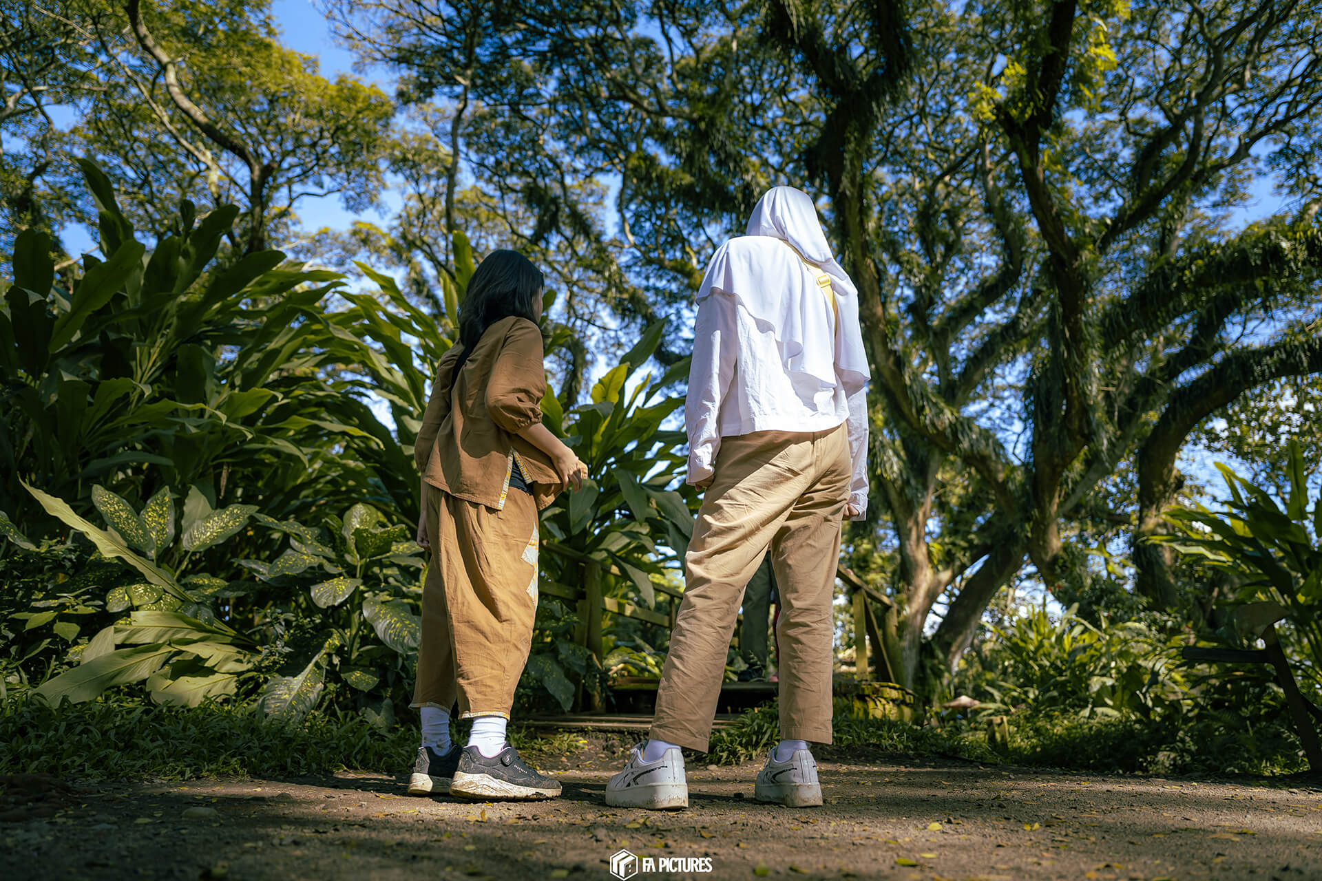 Hutan De Djawatan Banyuwangi dengan pepohonan trembesi raksasa